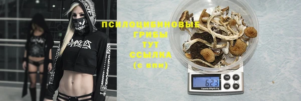 гашиш Осташков